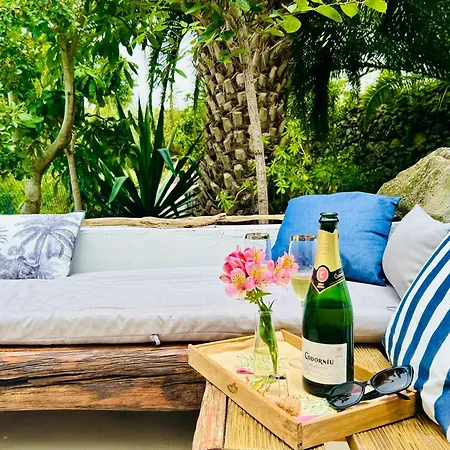 Apartamento Tenerife - Cozy Mit Traumblick & Tropischem Garten Icod De Los Vinos