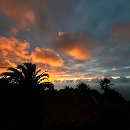 Tenerife - Cozy Mit Traumblick & Tropischem Garten Daire Icod De Los Vinos