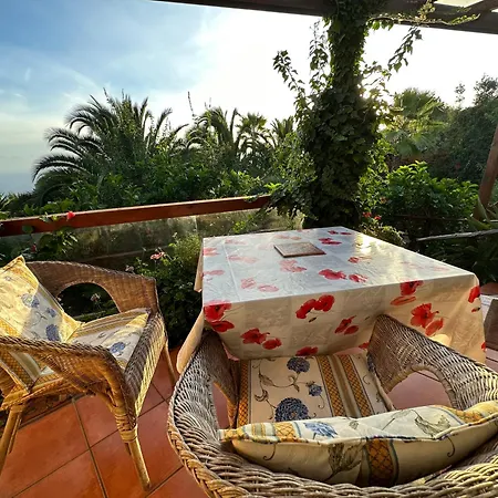 Tenerife - Cozy Mit Traumblick & Tropischem Garten Apartment Icod De Los Vinos
