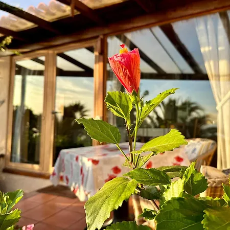 Tenerife - Cozy Mit Traumblick & Tropischem Garten Apartment *