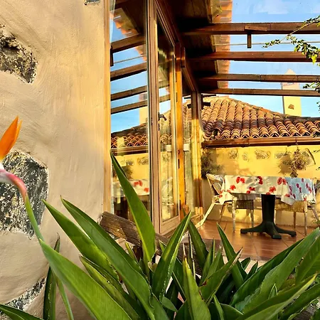 Tenerife - Cozy Mit Traumblick & Tropischem Garten Apartment Icod De Los Vinos