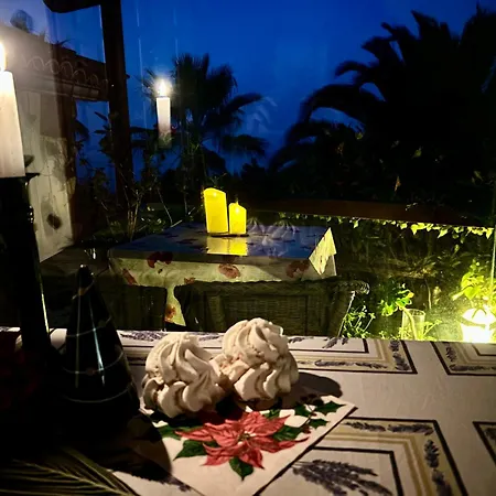 Tenerife - Cozy Mit Traumblick & Tropischem Garten