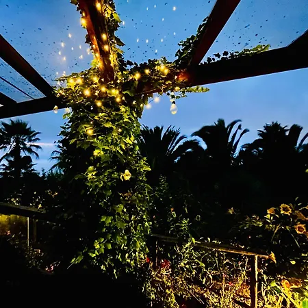 Appartement Tenerife - Cozy Mit Traumblick & Tropischem Garten *