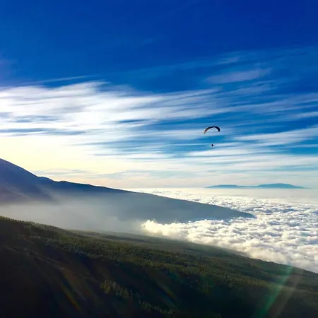 Tenerife - Cozy Mit Traumblick & Tropischem Garten شقة إيكود ذي لوس فينوس