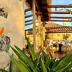 Tenerife - Cozy Mit Traumblick & Tropischem Garten 公寓 伊科德·德·洛斯·维诺斯