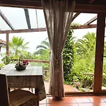 公寓 Tenerife - Cozy Mit Traumblick & Tropischem Garten