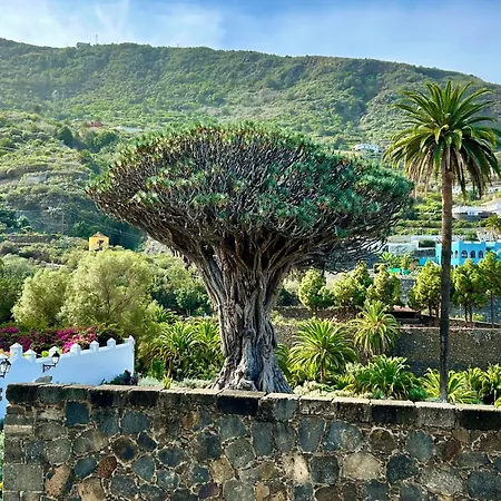 Tenerife - Cozy Mit Traumblick & Tropischem Garten 公寓 伊科德·德·洛斯·维诺斯