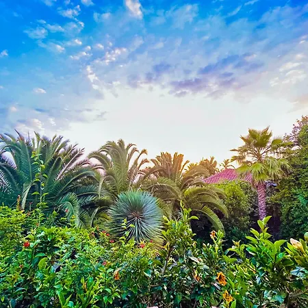 Tenerife - Cozy Mit Traumblick & Tropischem Garten 公寓 *